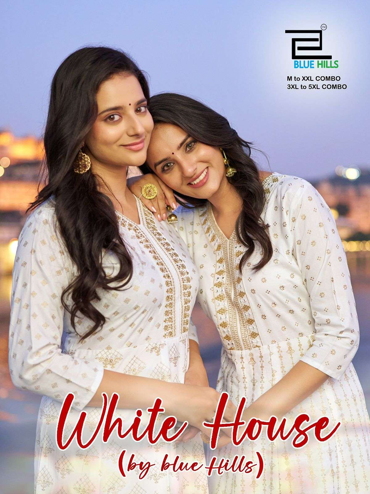 BLUE HILLS WHITE HOUSE VOL 1