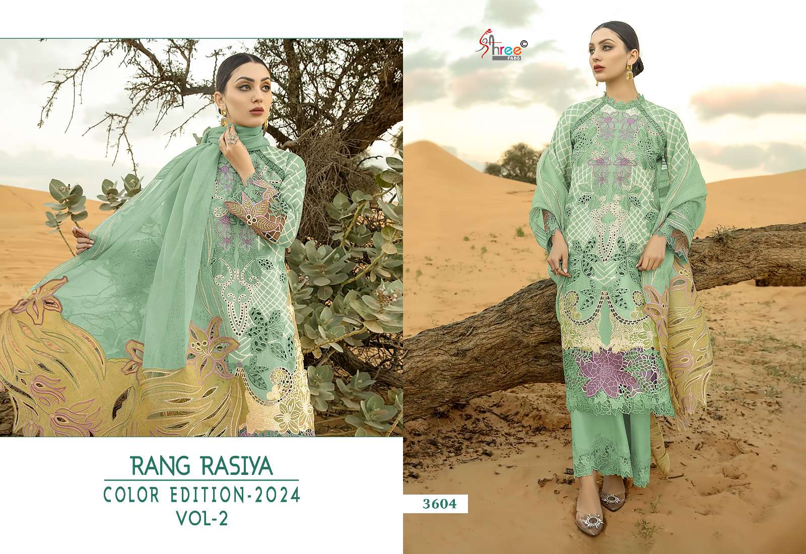 SHREE FABS RANG RASIYA COLOR EDITION 24 VOL 2 