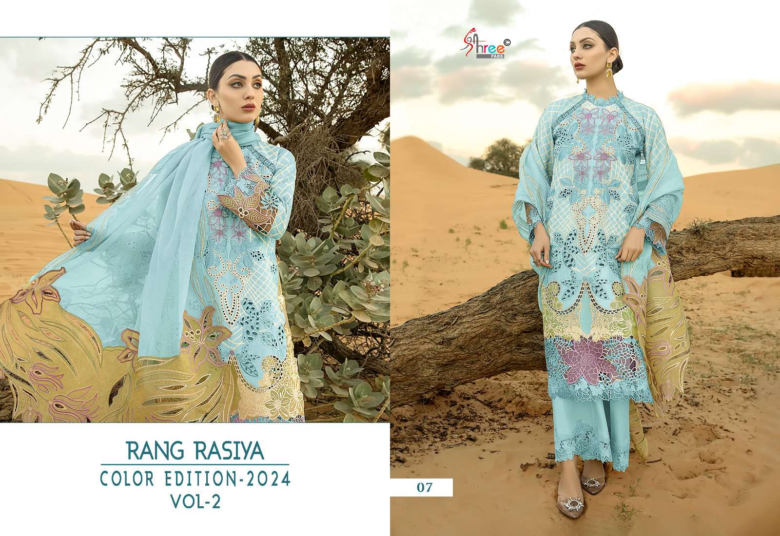 SHREE FABS RANG RASIYA COLOR EDITION 24 VOL 2 